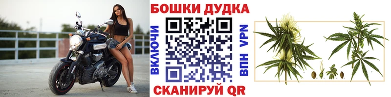 omg   Анапа  Бошки марихуана индика 